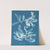 Delesseria sanguinea by Anna Atkins