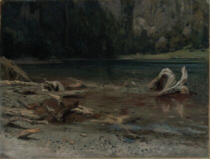 Der Feldsee