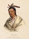 A‑Mis-Quam, A Winnebago Brave
