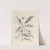 Der Raupen wunderbare Verwandelung und sonderbare Blumen-Nahrung Pl.028 (1679-1683) by Maria Sibylla Merian