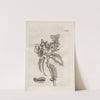 Der Raupen wunderbare Verwandelung und sonderbare Blumen-Nahrung Pl.073 (1679-1683) by Maria Sibylla Merian