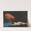 Der rote Ibis (1916) by Richard Müller