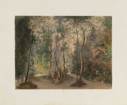 Der Wintergarten in der kaiserlichen königlichen Hofburg zu Wien Pl.04