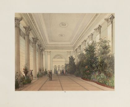 Der Wintergarten in der kaiserlichen königlichen Hofburg zu Wien Pl.07