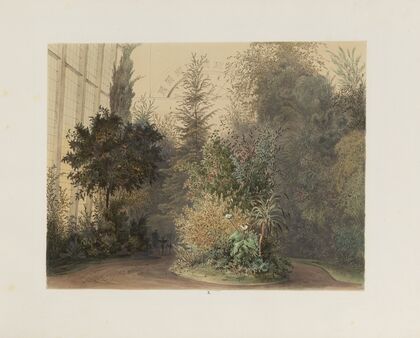 Der Wintergarten in der kaiserlichen königlichen Hofburg zu Wien Pl.10