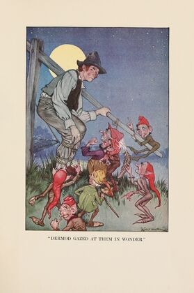 ‘Dermod gazed at them in wonder’