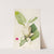 Description des plantes rares cultivees a Malmaison et a Navarre Pl.33 by Pierre Joseph Redouté