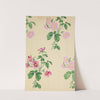 Design for a printed fabric by Anonymous