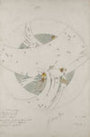 Design for a soup plate