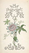 Design for Panel Decoration Centered on a Passion Flower