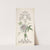 Design for Panel Decoration Centered on a Passion Flower by J. Hulme