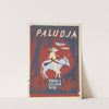 Design for, Theo J. van der Wal, Paludja by Martin Horwitz