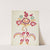 Design from a Proposed Portfolio by Majel G. Claflin
