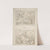 Designs for the Top and Bottom of a Small Rectangular Box by Louis-Felix de La Rue