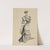 Dessin de mode (1900-1905) by Cécile Kahn