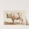 Dessin de vache (1777-1825) by Jean Jacques Lequeu