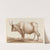 Dessin de vache (1777-1825) by Jean Jacques Lequeu