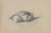 Detail der Beine der Hero aus ‘Hero und Leander’