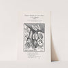 Diagram illustrating the life history of the barnacle by John Hassall