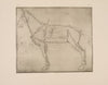Diagram of horse with lines of anatomy marked