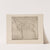 Diagram of horse with lines of anatomy marked by P. &amp; D. Colnaghi