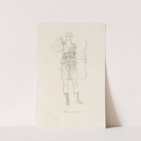 Diana succincta (1812)