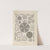 Diatomea. - Schachtellinge by Ernst Haeckel