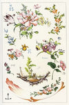 Dictionnaire De La Céramique Pl.11