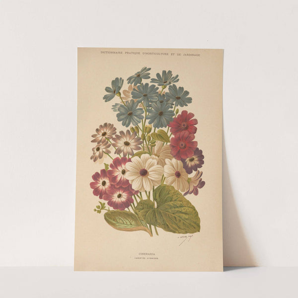 Dictionnaire pratique d&#8217;horticulture Pl.12 (1893) by George Nicholson