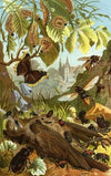 Die Insekten, Tausendfüssler und Spinnen Pl 03