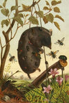 Die Insekten, Tausendfüssler und Spinnen Pl 04