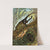 Die Insekten, Tausendfüssler und Spinnen Pl 14 by Alfred Edmund Brehm