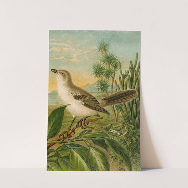 Die Nordamerikanische Vogelwelt pl04 by Christian Anton Goering