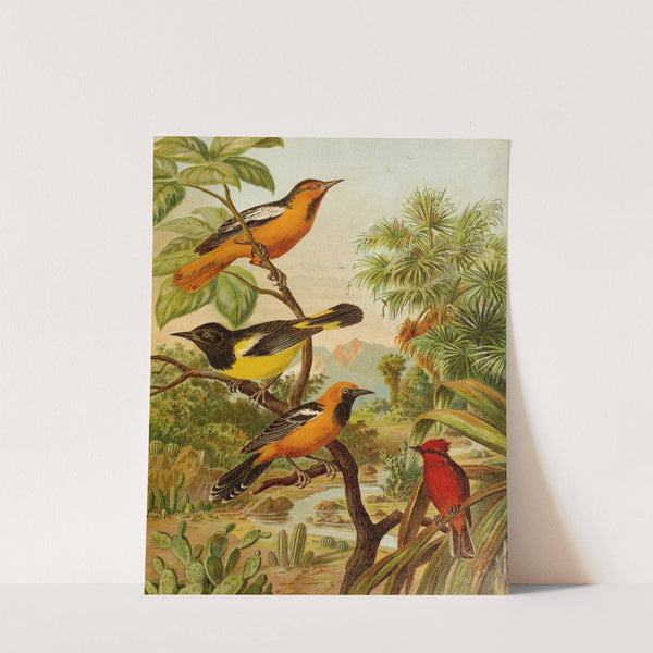 Die Nordamerikanische Vogelwelt pl31 by Christian Anton Goering