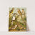Die Nordamerikanische Vogelwelt pl34 by Christian Anton Goering