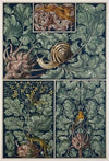 Die Pflanze in Kunst und Gewerbe Pl.007