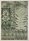 Die Pflanze in Kunst und Gewerbe Pl.104