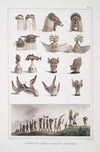 Différentes formes de masques (coëffures [coiffures])