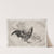 Dinner Service (Rousseau service); Rooster and morning glories (no. 25) (1866) by Félix Bracquemond