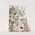 Dipteres Pl. XXIV by Jules Rothschild