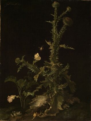 Distel mit verschiedenen Tieren