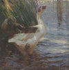 Disturbed (1908)