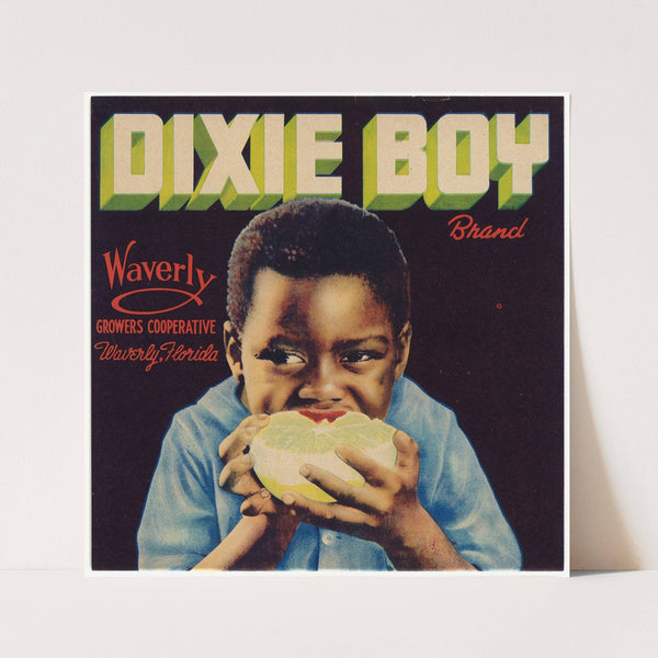 Dixie Boy Brand Citrus Label (1941)