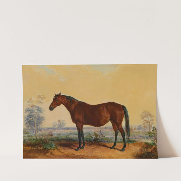 Dixie in Landscape (1871) by Edward Troye