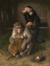 Doctor’s Visit To Poor Relations At The Zoological Gardens