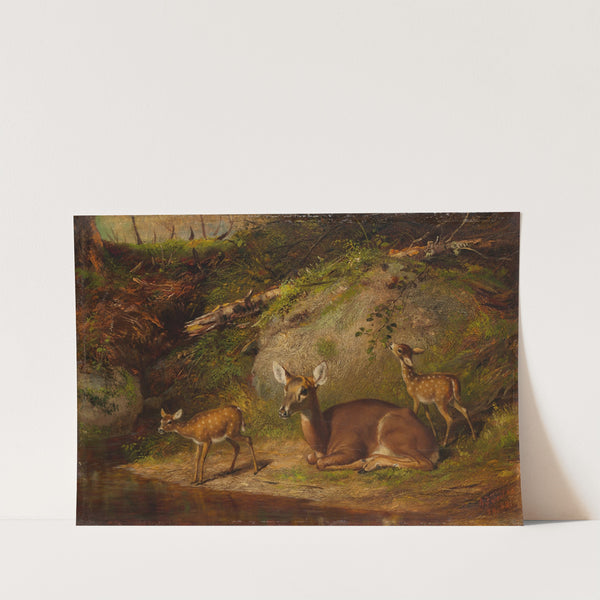 Doe and Two Fawns (1882) by Arthur Fitzwilliam Tait