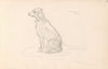 Dog (1859)