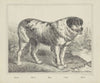 Dog (1829-1880)