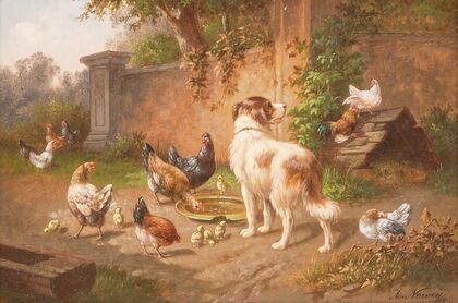 Dog among chicken