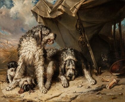 Dog Family